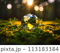 Earth day, April 22 of 2024 113183384