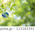 Earth day, April 22 of 2024 113183391