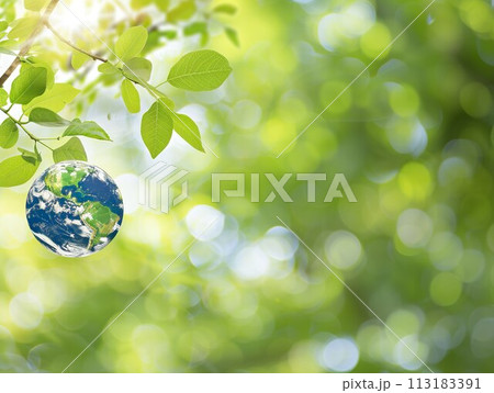 Earth day, April 22 of 2024 113183391