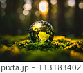 Earth day, April 22 of 2024 113183402