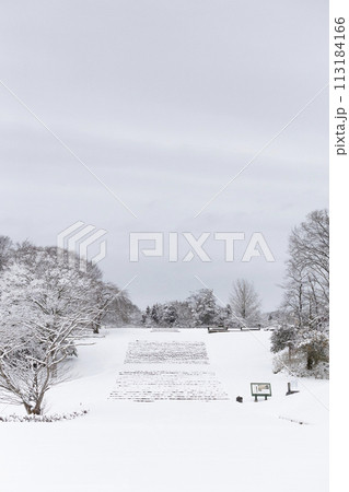 雪の積もった特別史跡多賀城跡附寺跡　階段 113184166