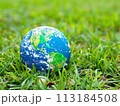 Earth day, April 22 of 2024 113184508
