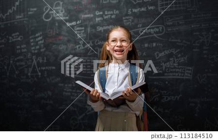 Kid in class on background of blackboard 113184510