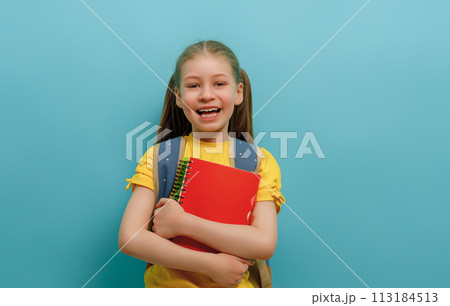 girl is ready to back to school 113184513