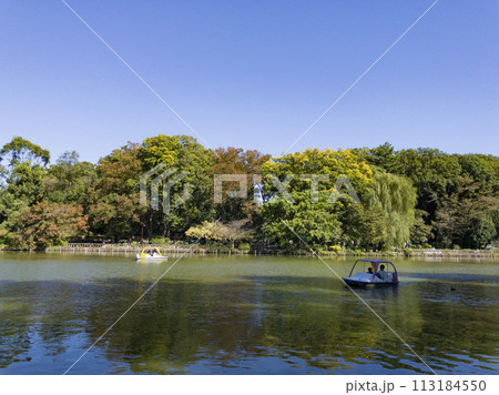 休日の善福寺公園 休日の善福寺公園 113184550