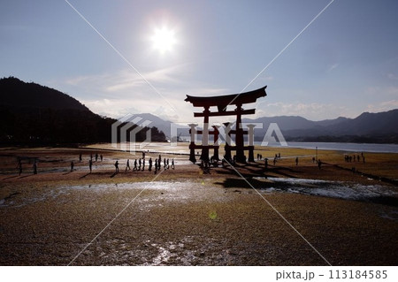 干潮で歩けるようになった夕暮れ時の厳島神社の鳥居 113184585
