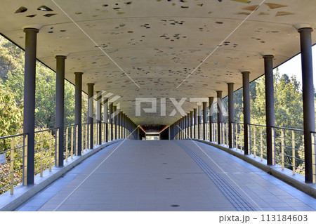 岐阜県多治見市　セラミックパークMINO　入口へのアプローチ 113184603