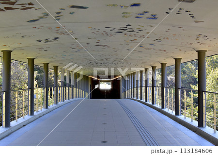 岐阜県多治見市　セラミックパークMINO　入口へのアプローチ 113184606