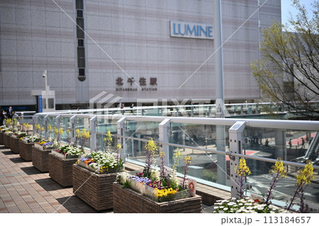 北千住駅西口前 歩行者デッキとフラワーボックス 東京都足立区 北千住駅西口前 歩行者デッキとフラワーボックス 東京都足立区 113184657