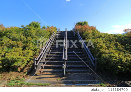 神奈川県・愛甲郡・宮ケ瀬湖・鳥居原園地 神奈川県・愛甲郡・宮ケ瀬湖・鳥居原園地 113184700