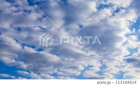 青空に流れるたくさんの雲 青空に流れるたくさんの雲 113184814