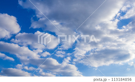 青空に流れるたくさんの雲 青空に流れるたくさんの雲 113184856