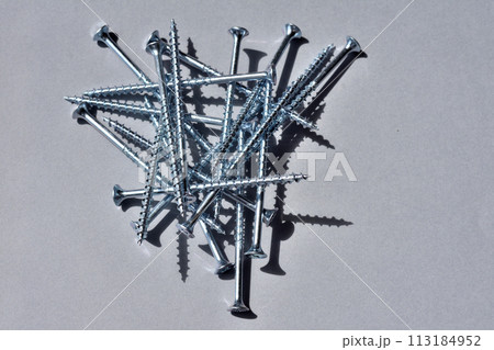複数個のネジ（コーススレッド）・ハイコントラスト 113184952