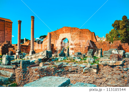 Roman Forum. Ancient, beautiful, incredible Rome. Roman Forum. Ancient, beautiful, incredible Rome. 113185544