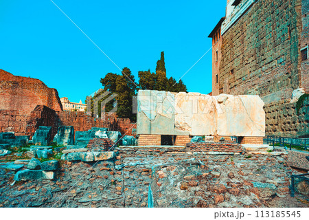 Roman Forum. Ancient, beautiful, incredible Rome. Roman Forum. Ancient, beautiful, incredible Rome. 113185545