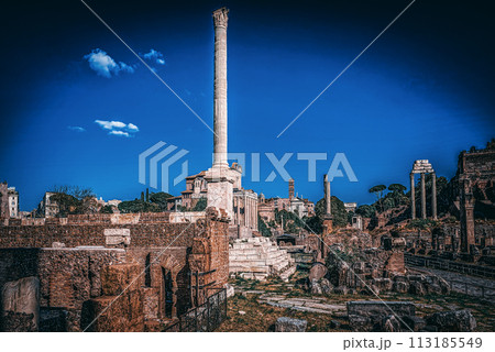 Roman Forum. Ancient, beautiful, incredible Rome. Roman Forum. Ancient, beautiful, incredible Rome. 113185549