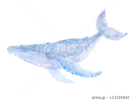 水彩_ザトウクジラ 113185682