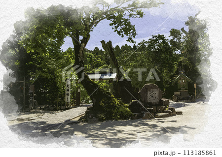 水彩画風 八重垣神社 境内 島根県松江市 水彩画風 八重垣神社 境内 島根県松江市 113185861