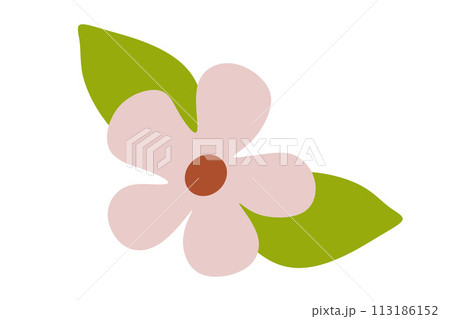 Flower with Leaves Flat Icon, Plant Nature, Chamomile sign,. Vector Cartoon Spring or Summer Illustration, Isolated Floral Blooming object with Foliage. Graphic Art for Card Design, Greeting, Poster 113186152