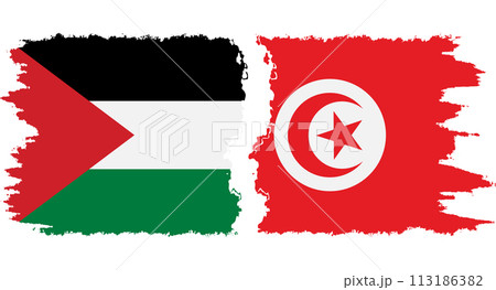 Tunisia and Palestine grunge flags connection vector Tunisia and Palestine grunge flags connection vector 113186382