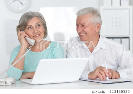 portrait of two old people working with a laptop in the office portrait of two old people working with a laptop in the office 113186526