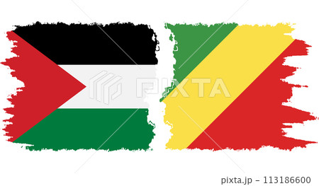 Congo-Brazzaville and Palestine grunge flags connection vector 113186600