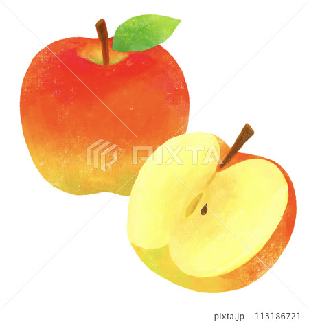 りんごのイラスト 113186721