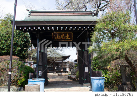 妙法寺 妙法寺 113186765