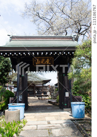 妙法寺 妙法寺 113186767