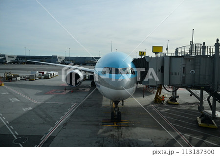 出発を待つ飛行機 113187300