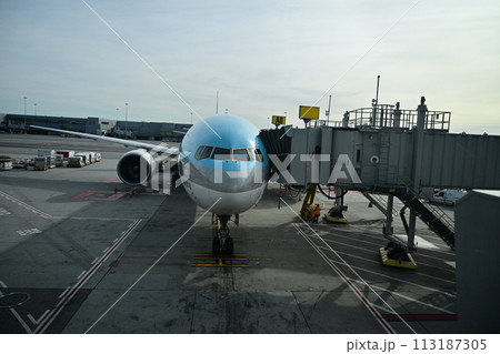出発を待つ飛行機 113187305