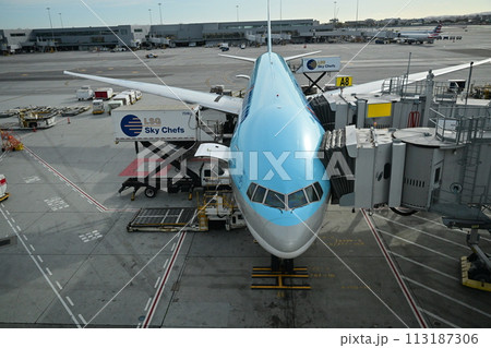 出発を待つ飛行機 113187306