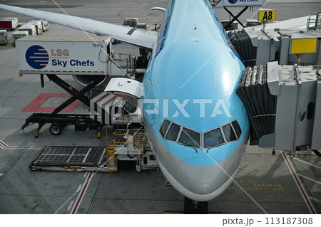 出発を待つ飛行機 出発を待つ飛行機 113187308