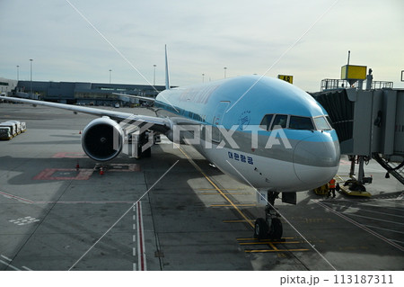 出発を待つ飛行機 113187311