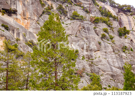 Yosemite Falls in Yosemite National Park 113187923