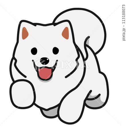 走るサモエド 走るサモエド 113188073