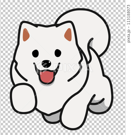 走るサモエド 走るサモエド 113188073