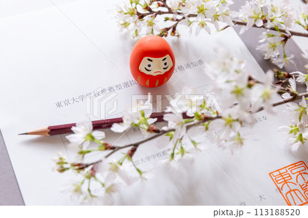 東京大学 学校推薦型 合格通知書、ダルマと桜の花 大学受験イメージ 東京大学 学校推薦型 合格通知書、ダルマと桜の花 大学受験イメージ 113188520