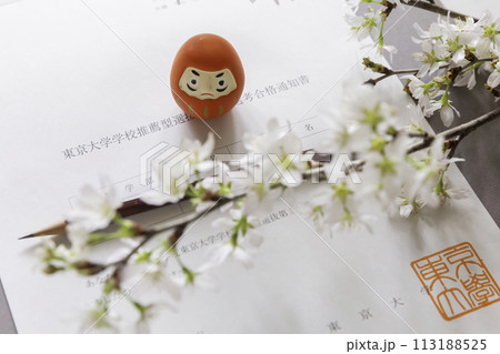 東京大学 学校推薦型 合格通知書、ダルマと桜の花 大学受験イメージ 113188525