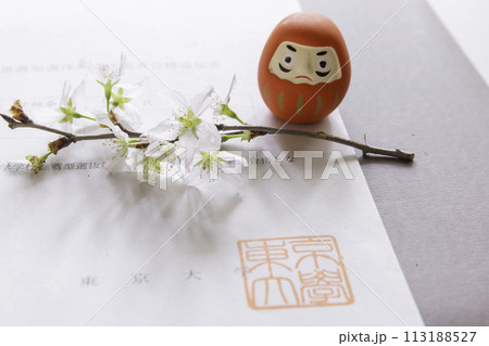 東京大学 学校推薦型 合格通知書、ダルマと桜の花 大学受験イメージ 113188527