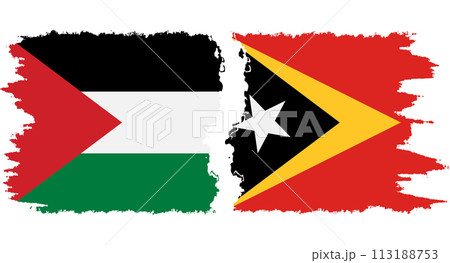 Timor-Leste - East Timor and Palestine grunge flags connection vector Timor-Leste - East Timor and Palestine grunge flags connection vector 113188753