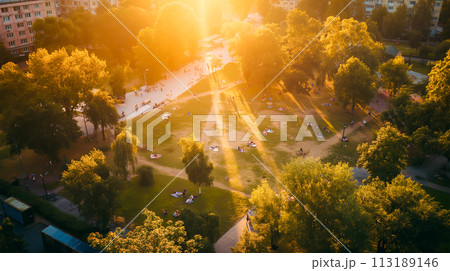 aerial view of the beautiful tropical forest aerial view of the beautiful tropical forest 113189146