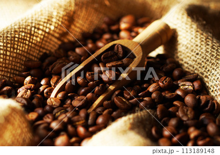 袋の中のコーヒー豆 袋の中のコーヒー豆 113189148