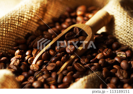 袋の中のコーヒー豆 袋の中のコーヒー豆 113189151