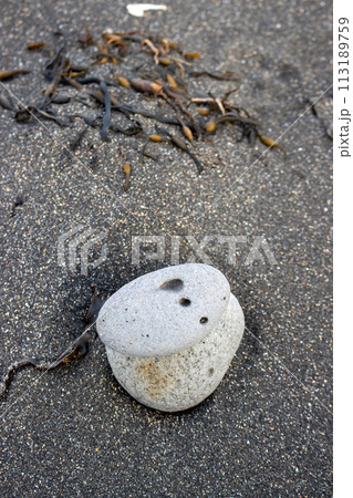 Dark sand beach with pebbles and weed, Iceland 113189759
