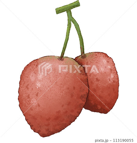 Red Lychee summer fruit 113190055