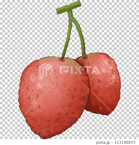 Red Lychee summer fruit 113190055