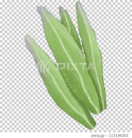 green leaf isolated clipart 113190201