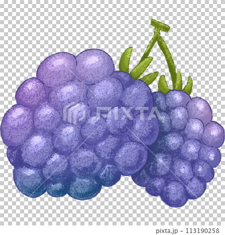 Blue Blackberry summer fruit 113190258