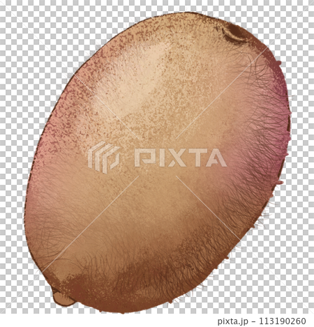 Brow Kiwi summer fruit Brow Kiwi summer fruit 113190260